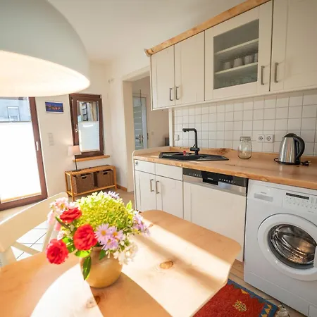 Haus Unterm Mammutbaum - Elberadweg Magdeburg