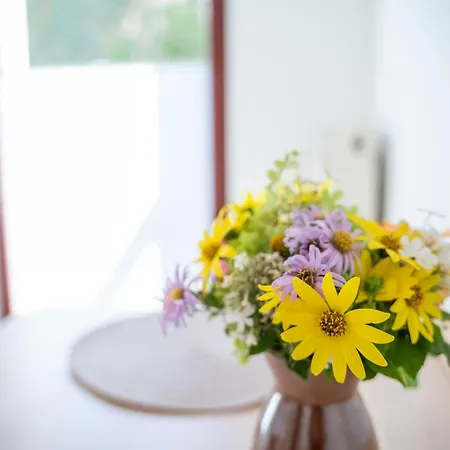 Haus Unterm Mammutbaum - Elberadweg