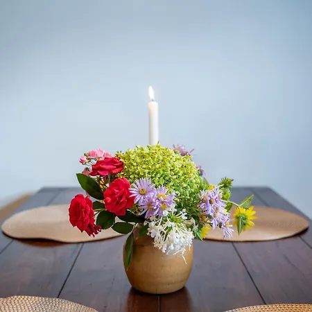 Haus Unterm Mammutbaum - Elberadweg Appartement