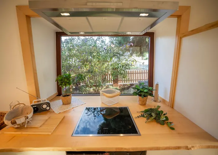 Appartement Haus Unterm Mammutbaum - Elberadweg