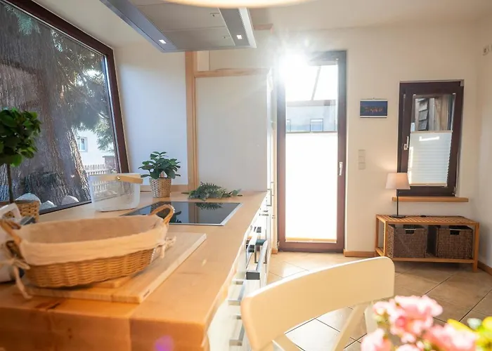 Appartamento Haus Unterm Mammutbaum - Elberadweg