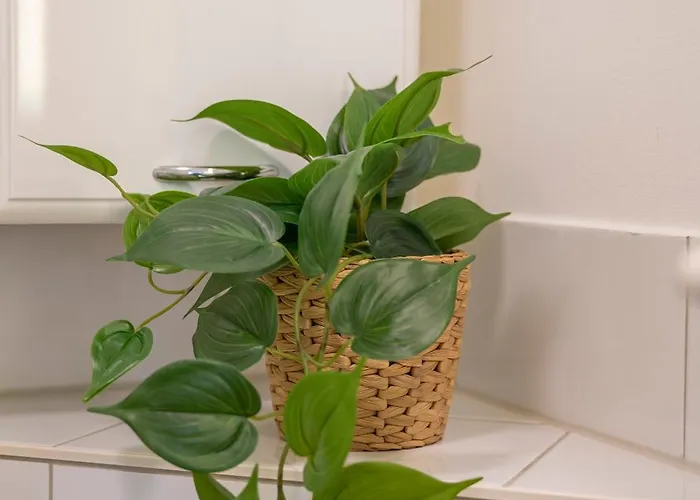 Haus Unterm Mammutbaum - Elberadweg Appartement Maagdenburg