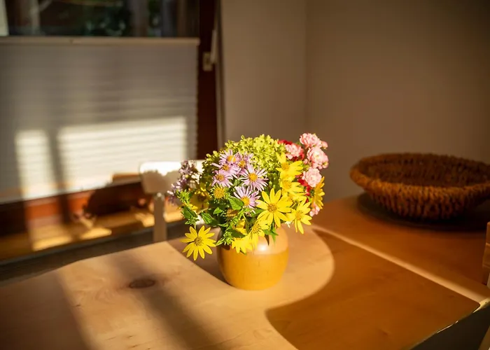 Haus Unterm Mammutbaum - Elberadweg Appartement