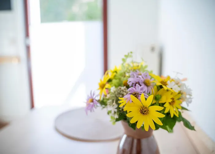 Haus Unterm Mammutbaum - Elberadweg