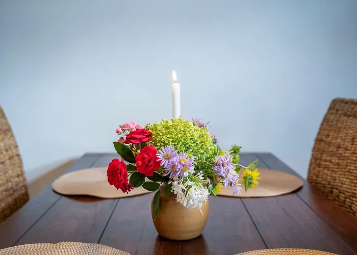 Haus Unterm Mammutbaum - Elberadweg Appartement